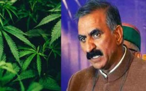 BHANG.jpg