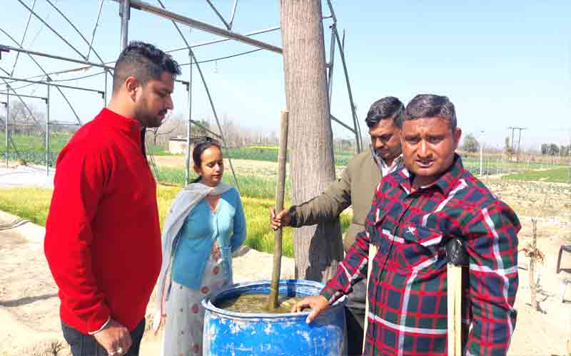भदसाली के रमन ने दिव्यांग होने के बावजूद प्रतिगतिशील किसान बनकर पेश की मिसाल