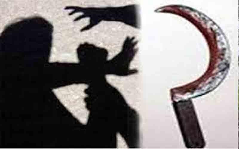 जमीनी विवाद को लेकर दो परिवारों में हुई मारपीट, एक ने दूसरे पर दराट से किया हमला, हालत गंभीर