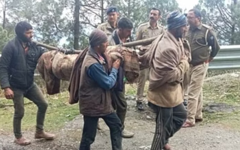 पहाड़ी से गिरे पत्थर की चपेट में आया भेड़पालक, दर्दनाक मौत
