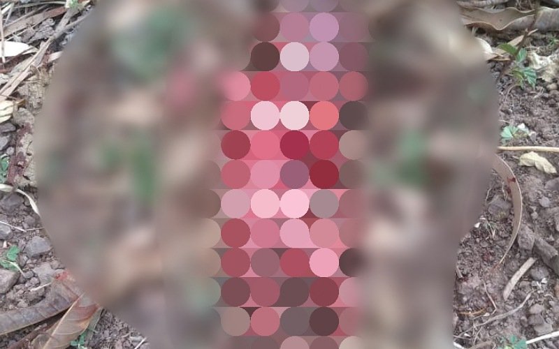 बनेठी पंचायत में सड़क के किनारे मिला पूरी तरह विकसित मृत भ्रूण