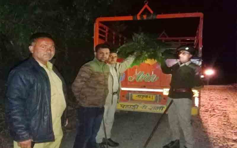 वन विभाग की टीम ने अवैध फर्न से लदी पकड़ी पिकअप, वसूला इतना जुर्माना……