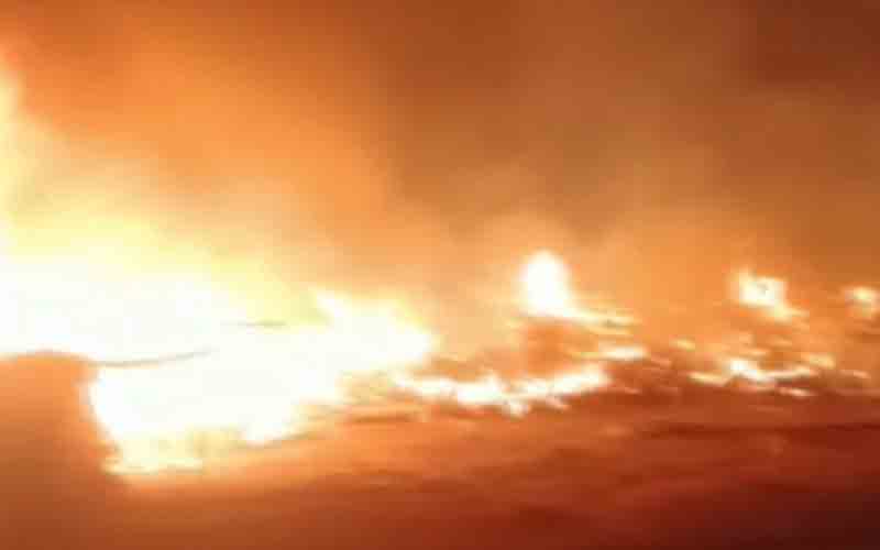 नशे में धुत युवक पशुशाला में आग लगाकर हुआ फरार, जिंदा जला मवेशी