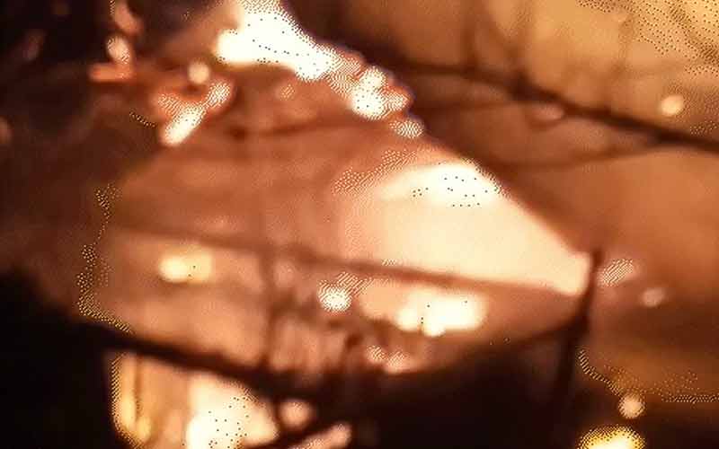 गोशाला में हुआ भीषण अग्निकांड, बुरी तरह झुलसे चार मवेशी