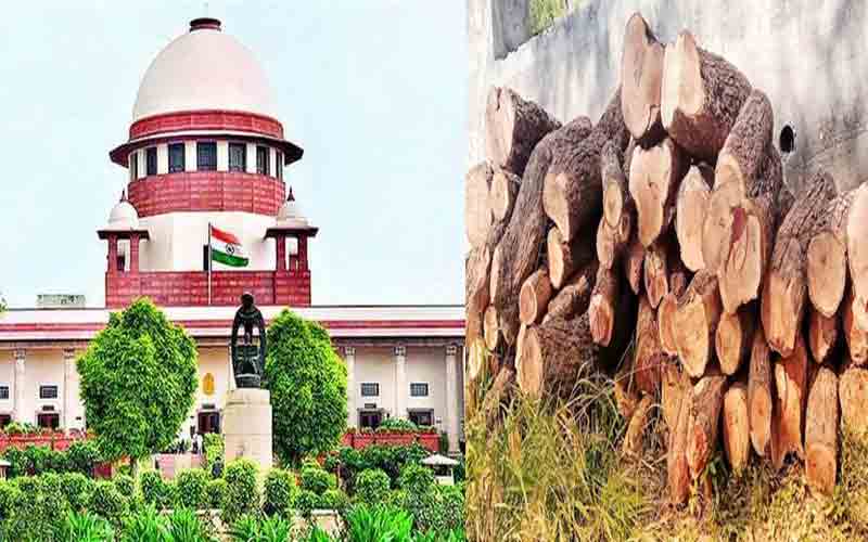 सुप्रीम कोर्ट में खैर कटान पर लगी समय अवधि संबंधी शर्त हटाने की दलील रखेगी प्रदेश सरकार
