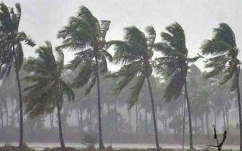 तेज तूफान में बाइक पर गिरा पेड़, एक की मौत, 2 घायल