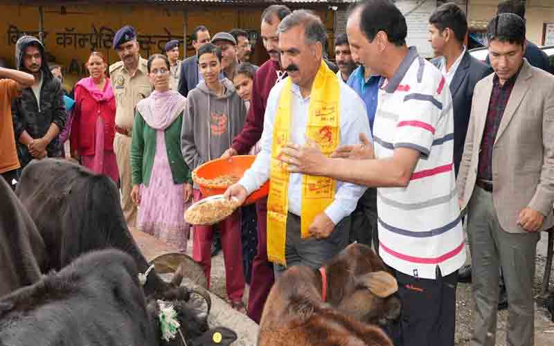 मुख्यमंत्री ने टूटू में श्री कामनापूर्ण गौशाला का किया निरीक्षण