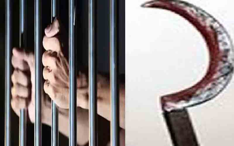 बेटे ने अपनी मां पर किया दराट से जानलेवा हमला, आरोपी गिरफ्तार