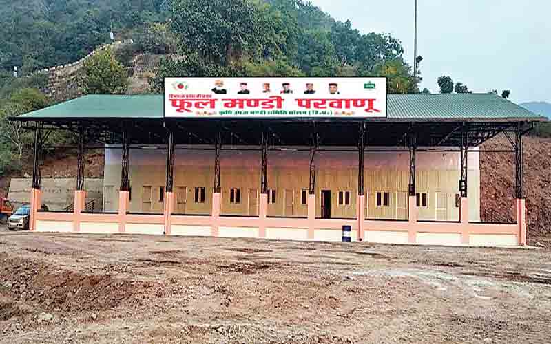 बंद हुई हिमाचल की पहली फूल मंडी, शुरू होगा सेब का कारोबार