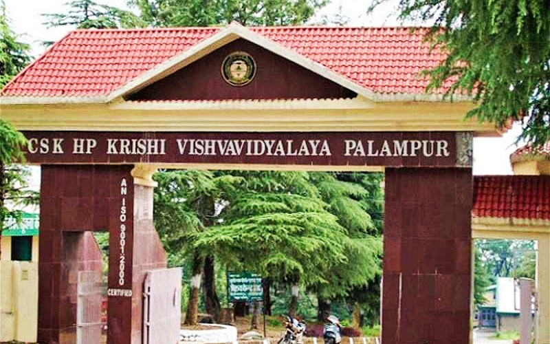हिमाचल कृषि विश्वविद्यालय पालमपुर में क्षेत्रीय कृषि मेला कल से होगा शुरू