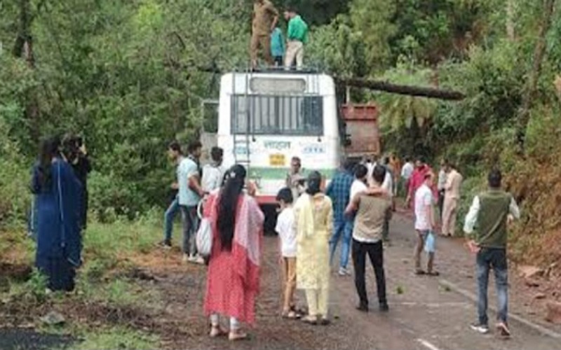 नाहन-श्री रेणुका जी मार्ग पर एचआरटीसी की बस के ऊपर गिरा पेड़, हादसे में……