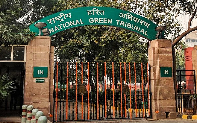 नेशनल ग्रीन ट्रिब्यूनल के निर्देशों की अनुपालना सुनिश्चित करें विभाग