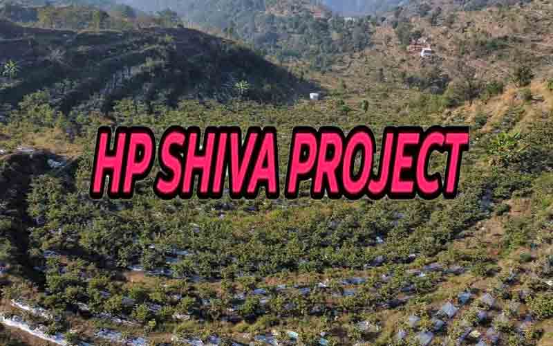 हिमाचल प्रदेश शिवा प्रोजेक्ट के बागवानों को दिए मार्केटिंग के टिप्स