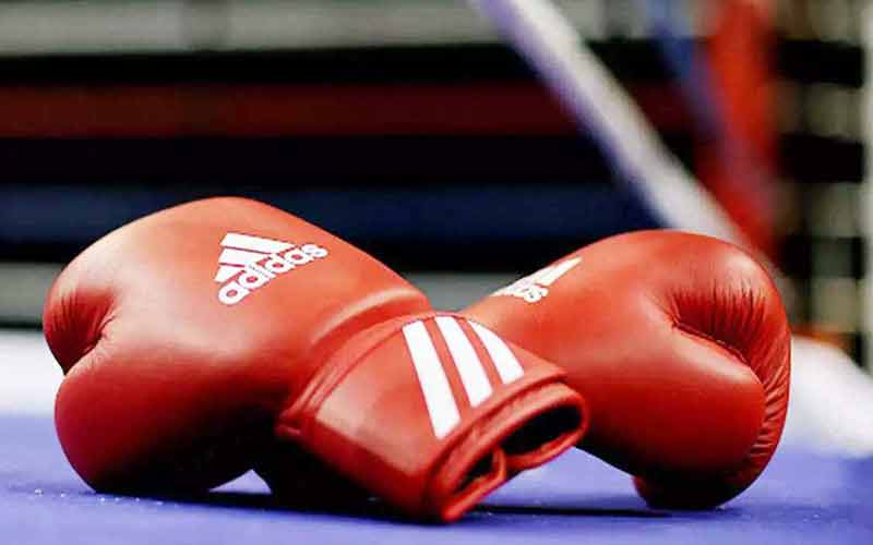 कल शिमला में होगी अंतरराष्ट्रीय प्रोफेशनल बॉक्सिंग चैंपियनशिप