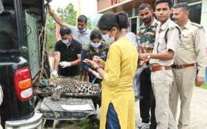Forest-Department-rescues-m.jpg