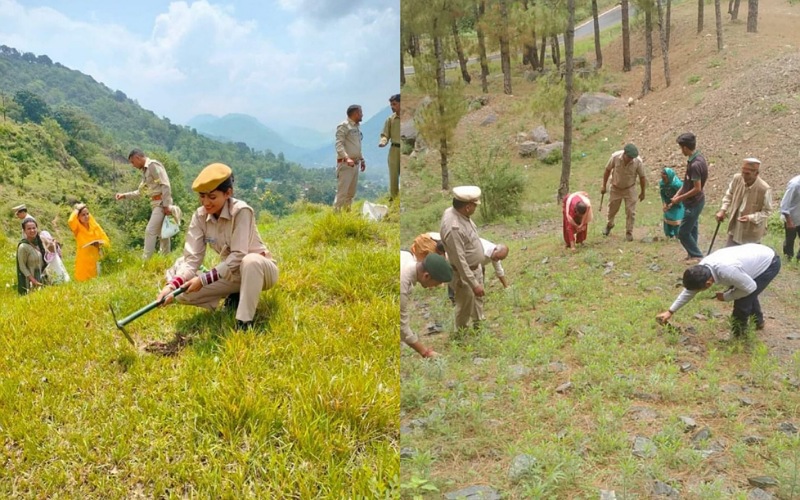 वन मंडल डलहौजी के तहत बीज बुआई सप्ताह   शुरू