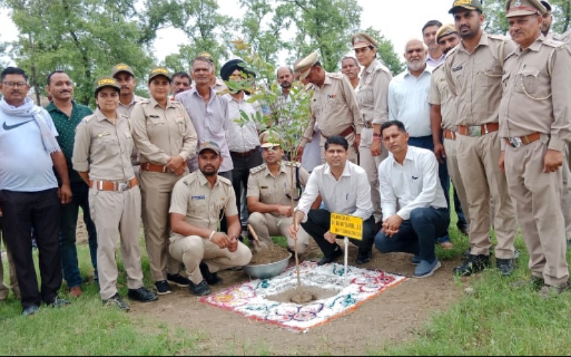 उपायुक्त राघव शर्मा ने बसाल में रोपित किया बेहड़ा का औषधीय पौधा