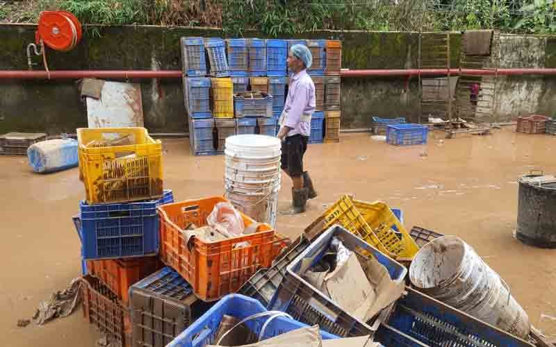 राणा जी फूड इंडस्ट्री पर टूटा बारिश का कहर, करोड़ों का हुआ नुक्सान