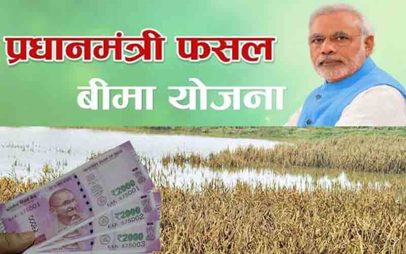 प्रधानमंत्री फसल बीमा योजना: हिमाचल में खरीफ 2023 के लिए बीमा करवाने की अंतिम तिथि बढ़ाई