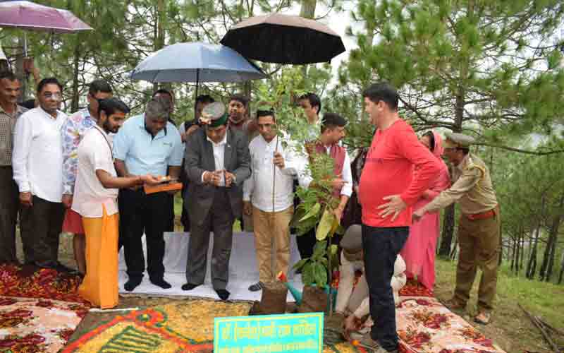 डाॅ. धनीराम शांडिल ने पीपल, बरगद और नीम के पौधे किए रोपित