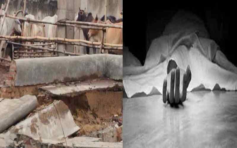 दर्दनाक हादसा: गौशाला गिरने से एक महिला की गई जान, 2 जख्मी