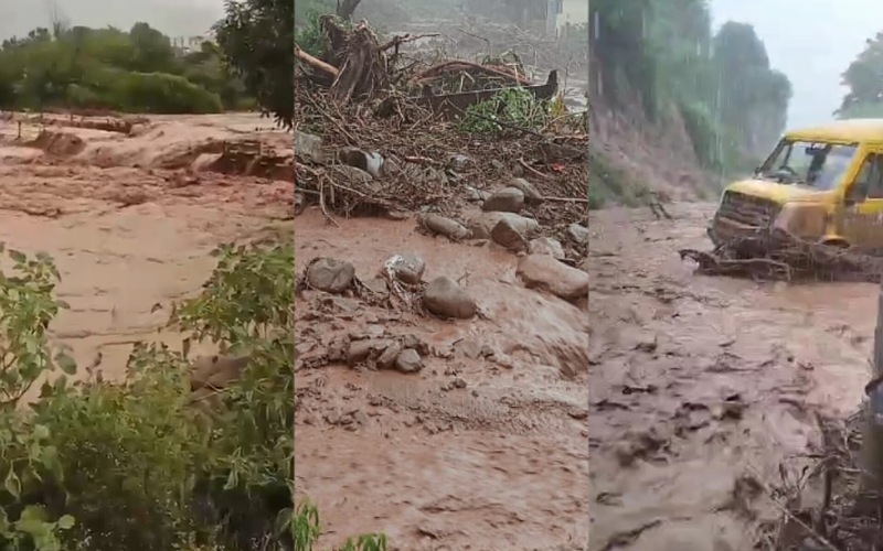 कंडईवाला में भारी बारिश का कहर, एक गौशाला सहित 3 पशु बहे