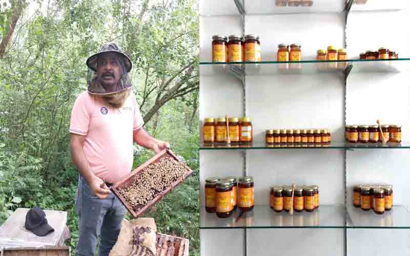 मौनपालन व्यवसाय ने दुलैहड़ के जसबीर की बदली तकदीर