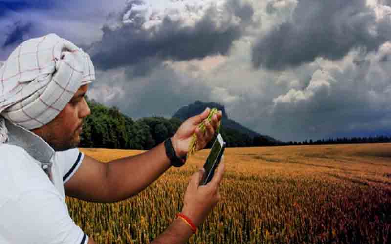 हिमाचल में किसानों को मौसम संबंधी परामर्श के लिए तैयार होगी मोबाइल एप्लीकेशन
