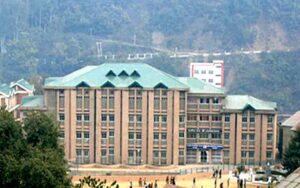 MANDI-3.jpg