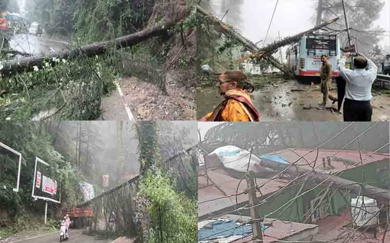 शिमला में भारी बारिश से तबाही: 40 पेड़ गिरे, कई सड़के अवरुद्ध