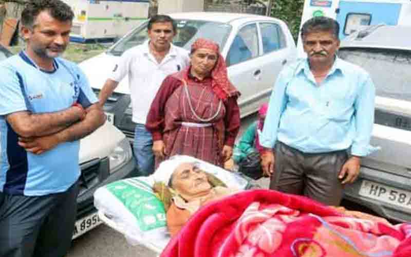 जंगली भालू ने 62 वर्षीय महिला पर किया हमला, जख्मी