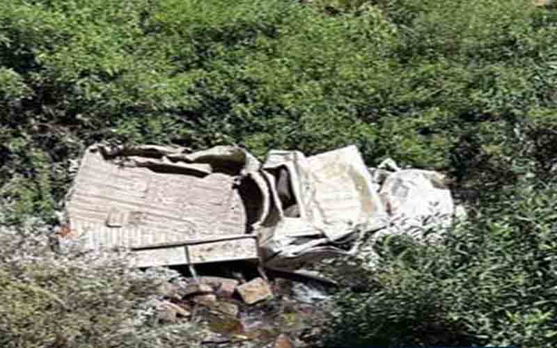 अनियंत्रित होकर गहरे नाले में गिरी पिकअप, 2 लोगों की मौत