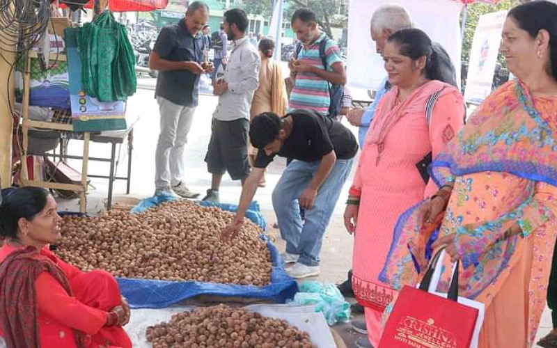 मंडी में सायर पर्व की तैयारियां जोरों पर, जगह-जगह सजी हैं अखरोट की दुकानें