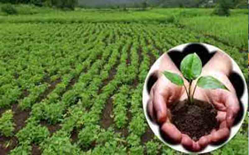 खेतीबाड़ी की आधुनिक तकनीक सीखने जापान जाएंगे हिमाचल के इतने युवा…