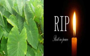 RIP.jpg