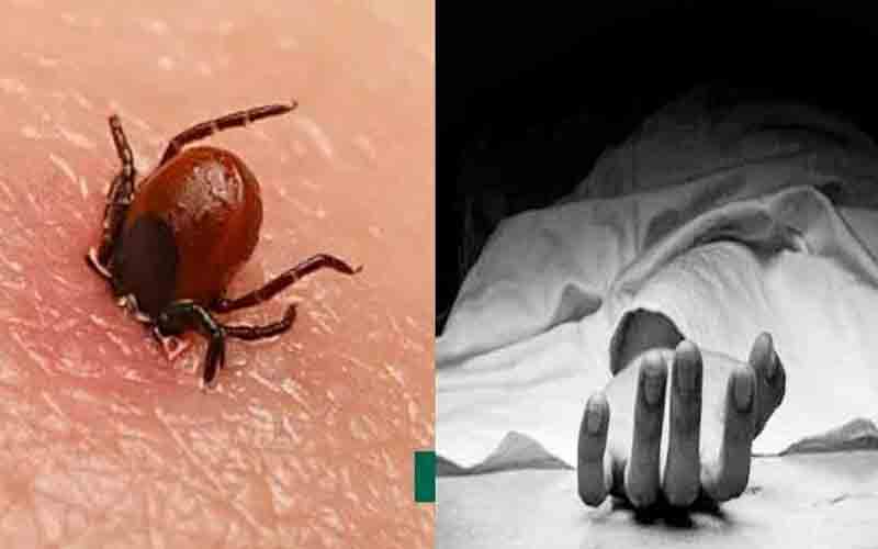 स्क्रब टायफस से 71 वर्षीय व्यक्ति की गई जान, अब तक 8 लोगों की हुई मौत