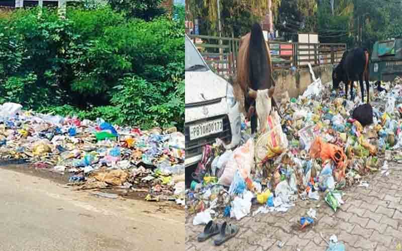 सफाई के नाम पर लाखों की वसूली, कूड़े के ढेरों ने जेबीआर की पोल खोली