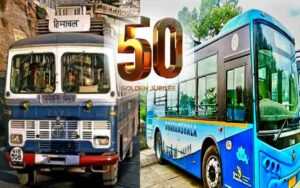 BUS.jpg