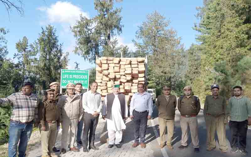 उपाध्यक्ष वन विकास निगम केहर सिंह खाची ने आहला टिंबर लॉट का किया निरीक्षण