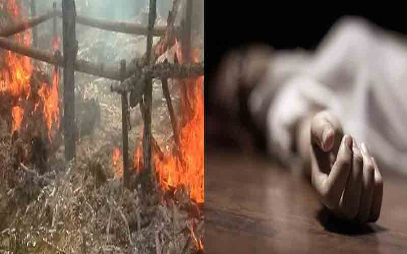 झोपड़ी में लगी आग, जिंदा जली एक महिला और 7 भेड़-बकरियां