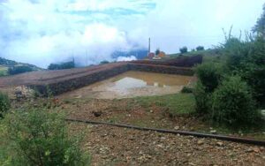 MANDI-5.jpg