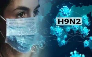 H9N2.jpg