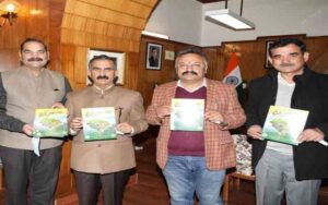 SHIMLA-7.jpg