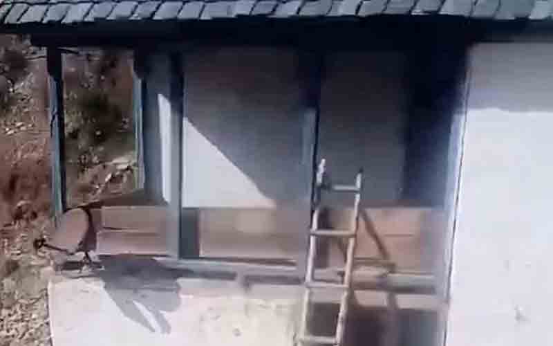 गोशाला की छत टूटने से नीचे गिरी आठ महिलाएं, गंभीर रूप से घायल