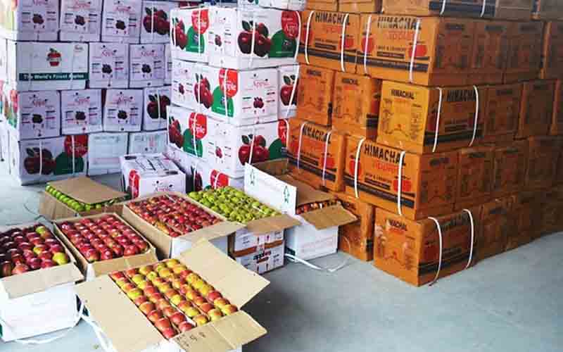 प्रदेश में पिछले साल के मुकाबले सेब बागवानी में हुआ कम उत्पादन, इतने करोड़ का घाटा…….