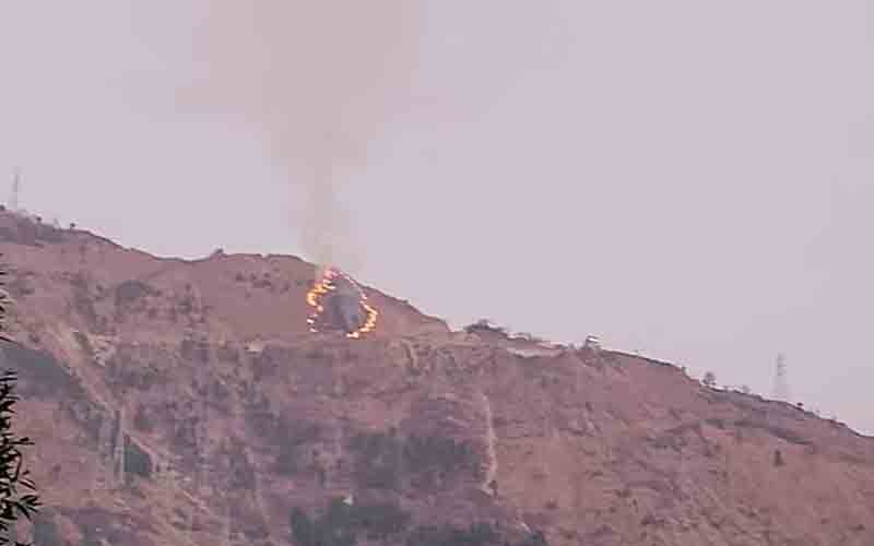 करियां के पास जंगल में भड़की आग, वन संपदा जलकर राख