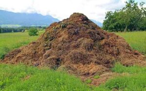GOBAR.jpg