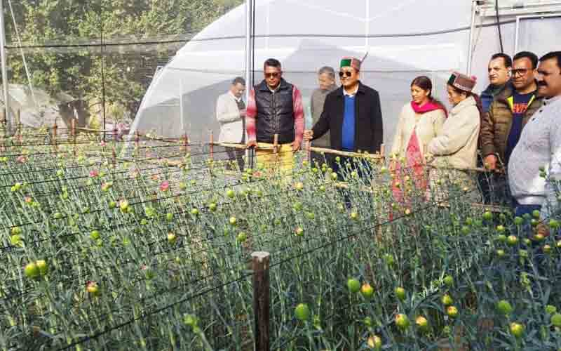 जगत सिंह नेगी ने बैजनाथ में अमरूद के पौधों के कलस्टर का किया निरक्षण