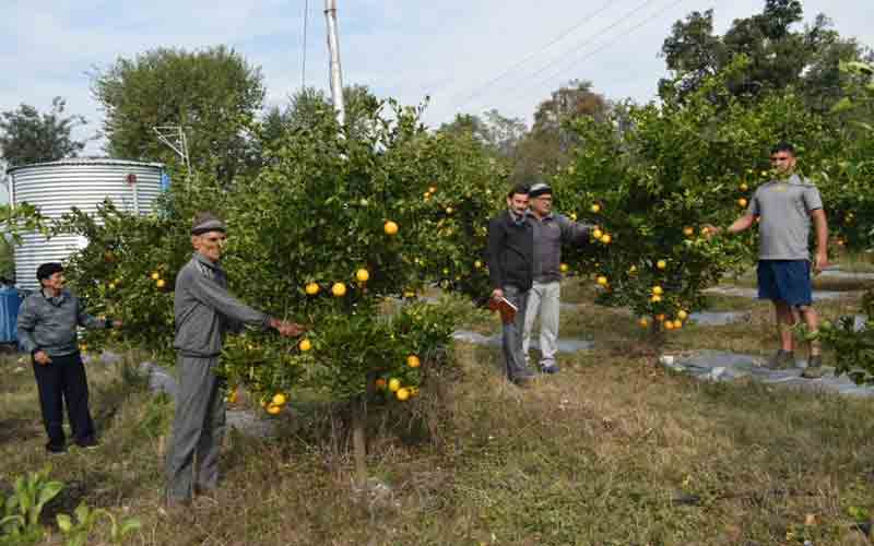 शिवा परियोजना से बदली तरेहल के 54 किसानों की तकदीर
