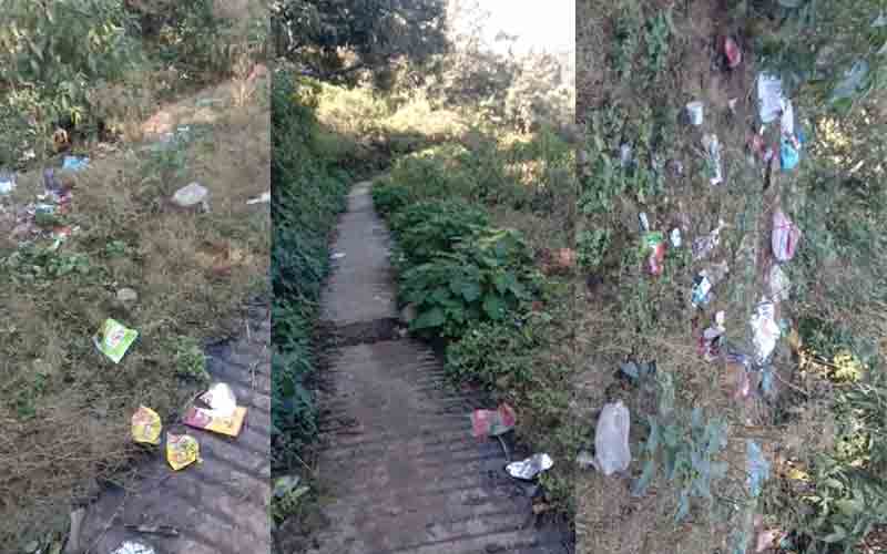 नाहन के वार्ड 2 में खुले में फेंका जा रहा कचरा, नगर परिषद नहीं ले रहा सुध, लोग परेशान
